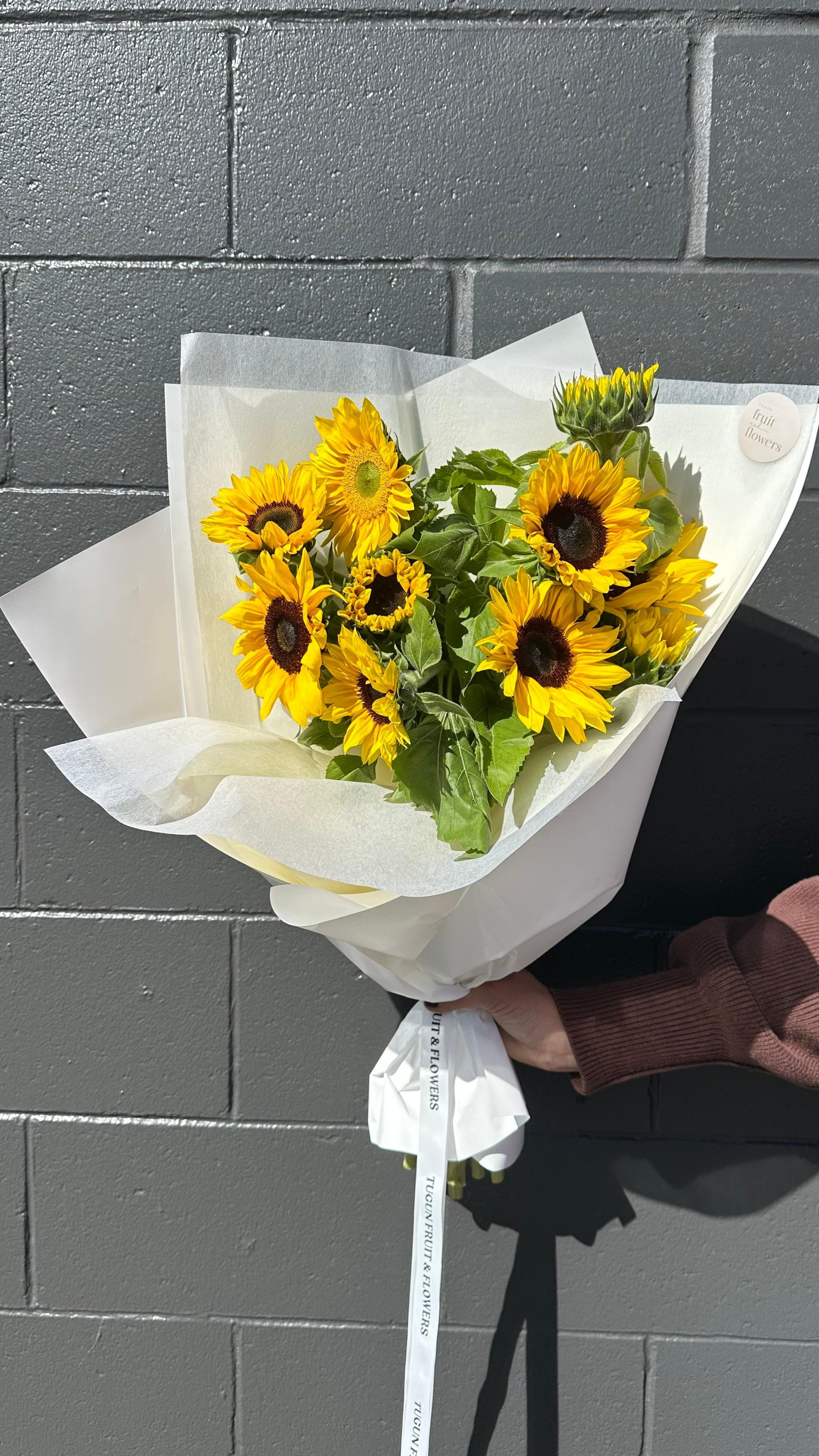 Sunflowers En Masse | Tugun Fruit & Flowers